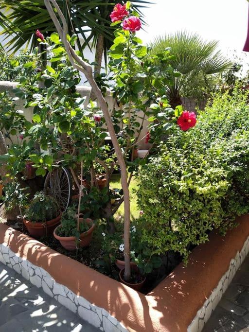 דירות אורוסיי Gollai House מראה חיצוני תמונה
