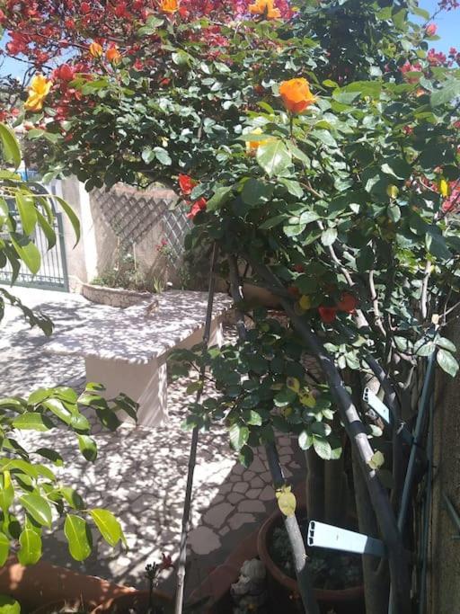 דירות אורוסיי Gollai House מראה חיצוני תמונה