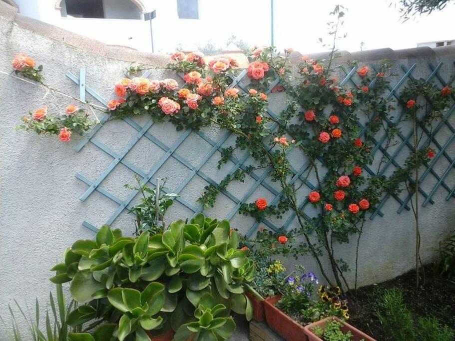 דירות אורוסיי Gollai House מראה חיצוני תמונה