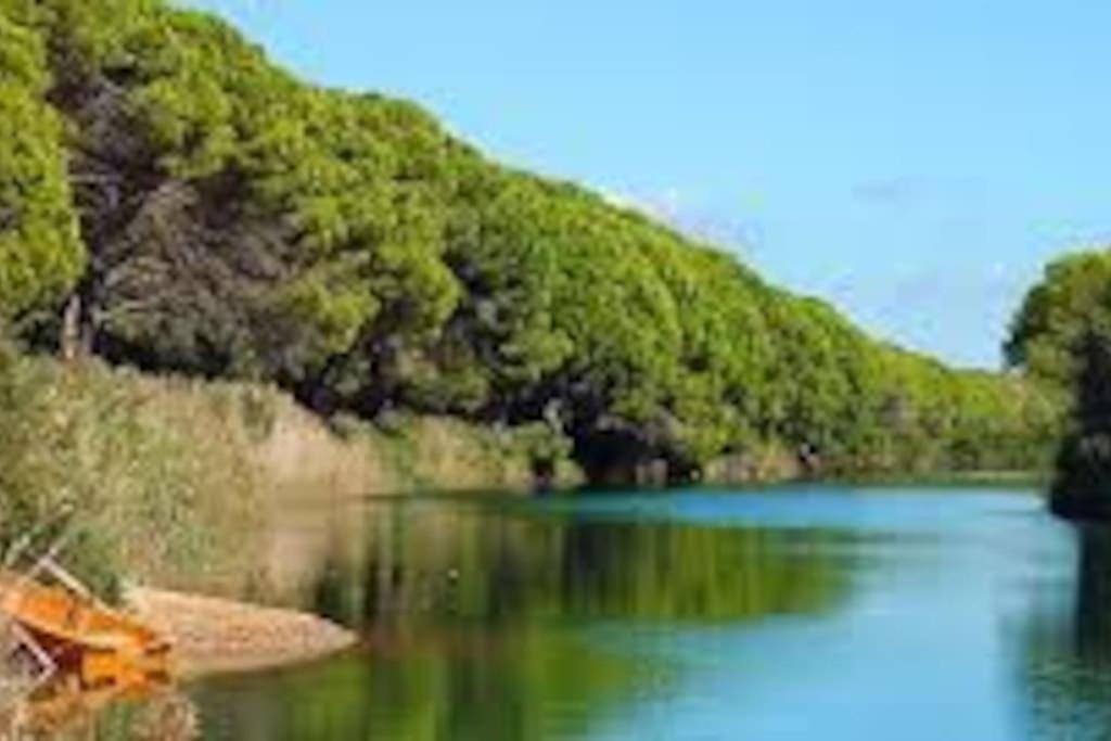 דירות אורוסיי Gollai House מראה חיצוני תמונה